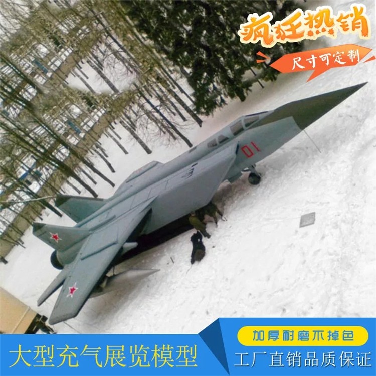 三水充气飞机气模厂家